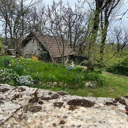 Gites Sur Le Causse De St Chels, Charme Sport Et Detente Saint-Chels Bagian luar foto